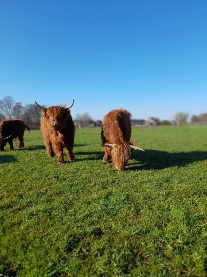 Hannekenbuurs Kleine Kune Kune Farm Apartment Weeze Bagian luar foto